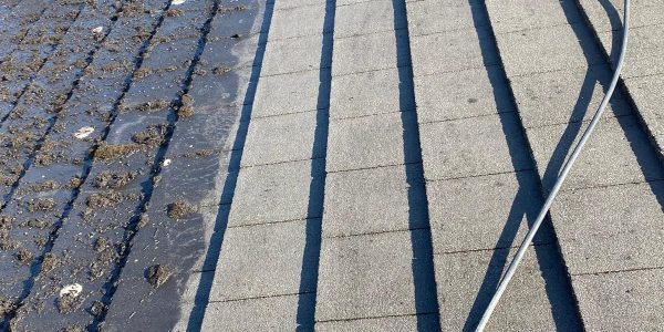 WhatsApp Image 2023-08-15 at 08.58.37 (2)