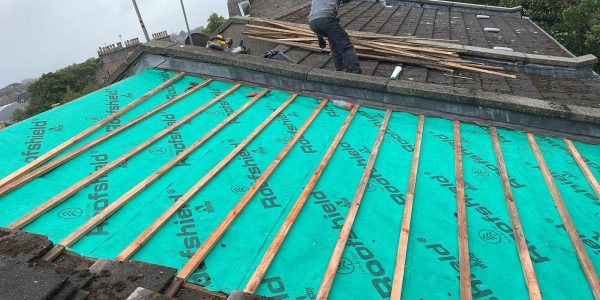 WhatsApp Image 2023-08-15 at 08.58.37