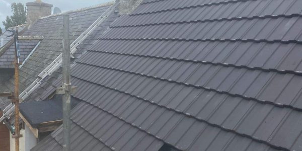 WhatsApp Image 2023-08-16 at 16.25.23