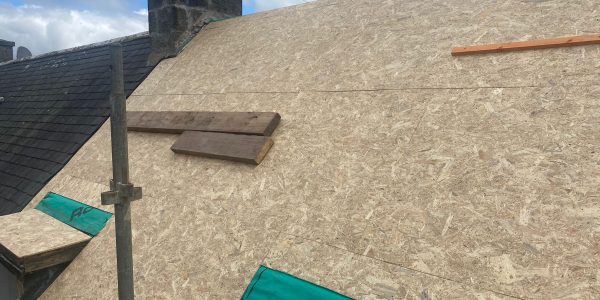 WhatsApp Image 2023-08-16 at 16.25.24